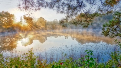 Morning Lake